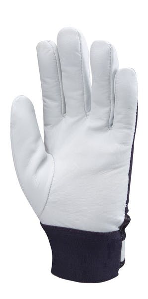 Manusi de protectie DRIVER EUROSTRONG EP 860, marimea 9, piele capra, gri/albastru, inchidere velcro, COVERGUARD - sefira.ro