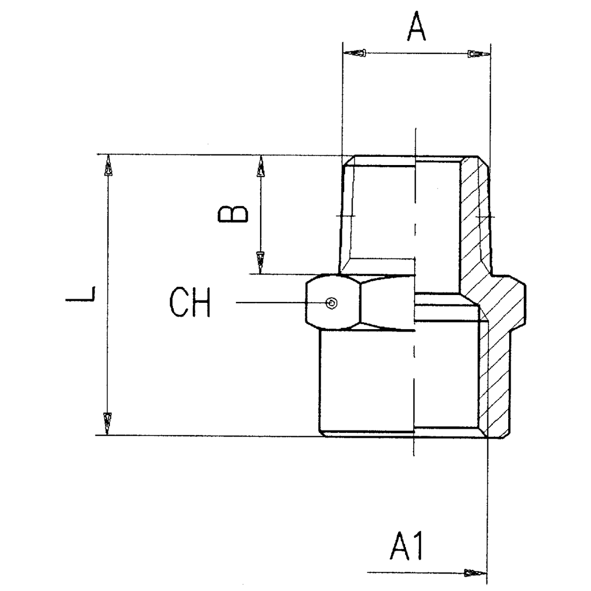 Reduceri filetate conice AIGNEP 2040 - sefira.ro