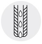 Bara strunjire ISO, 95 grade, cu racire interioaraA25R PCLNR 12 - sefira.ro