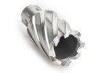 Carota HSS-XT UNIVERSAL - 4060 - 44.00X30 mm IZAR