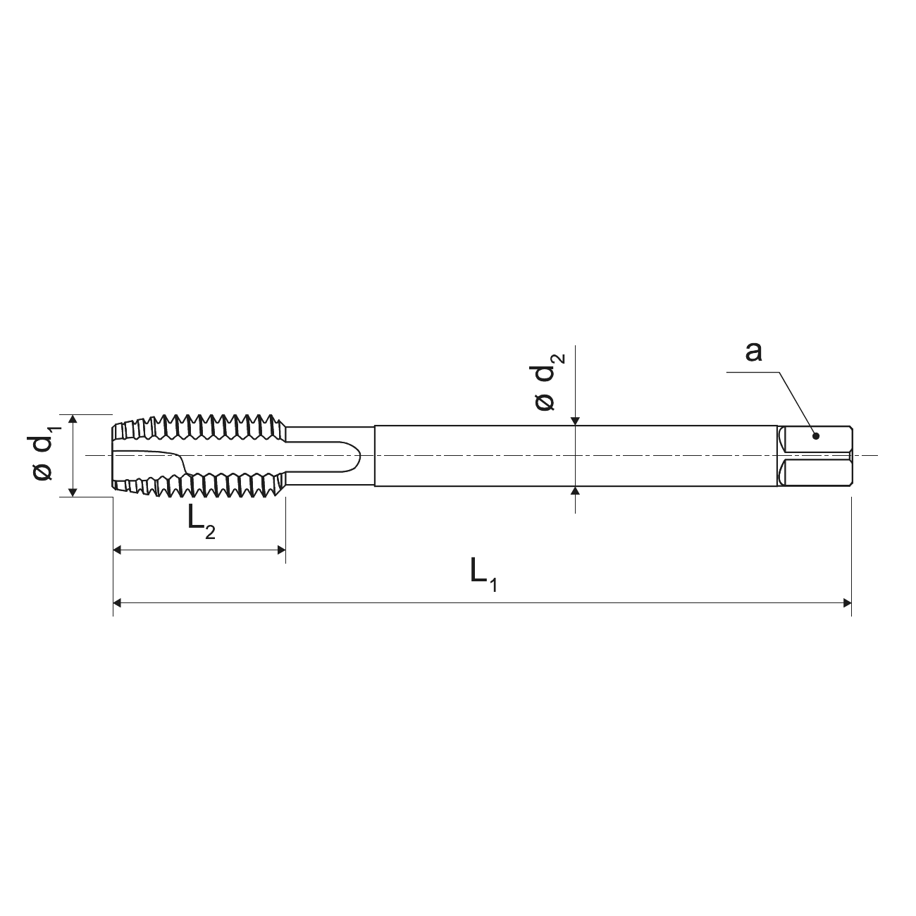 KERFOLG spiral point tap with extra long shank for through holes M