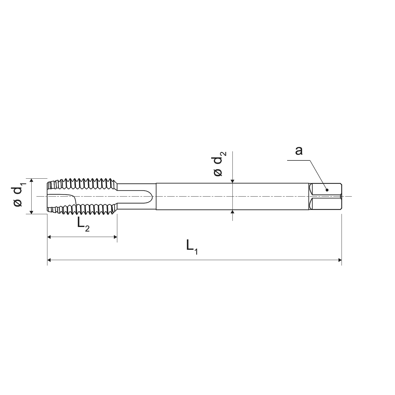 KERFOLG stainless steel spiral tip tap for through holes MF TiNOX