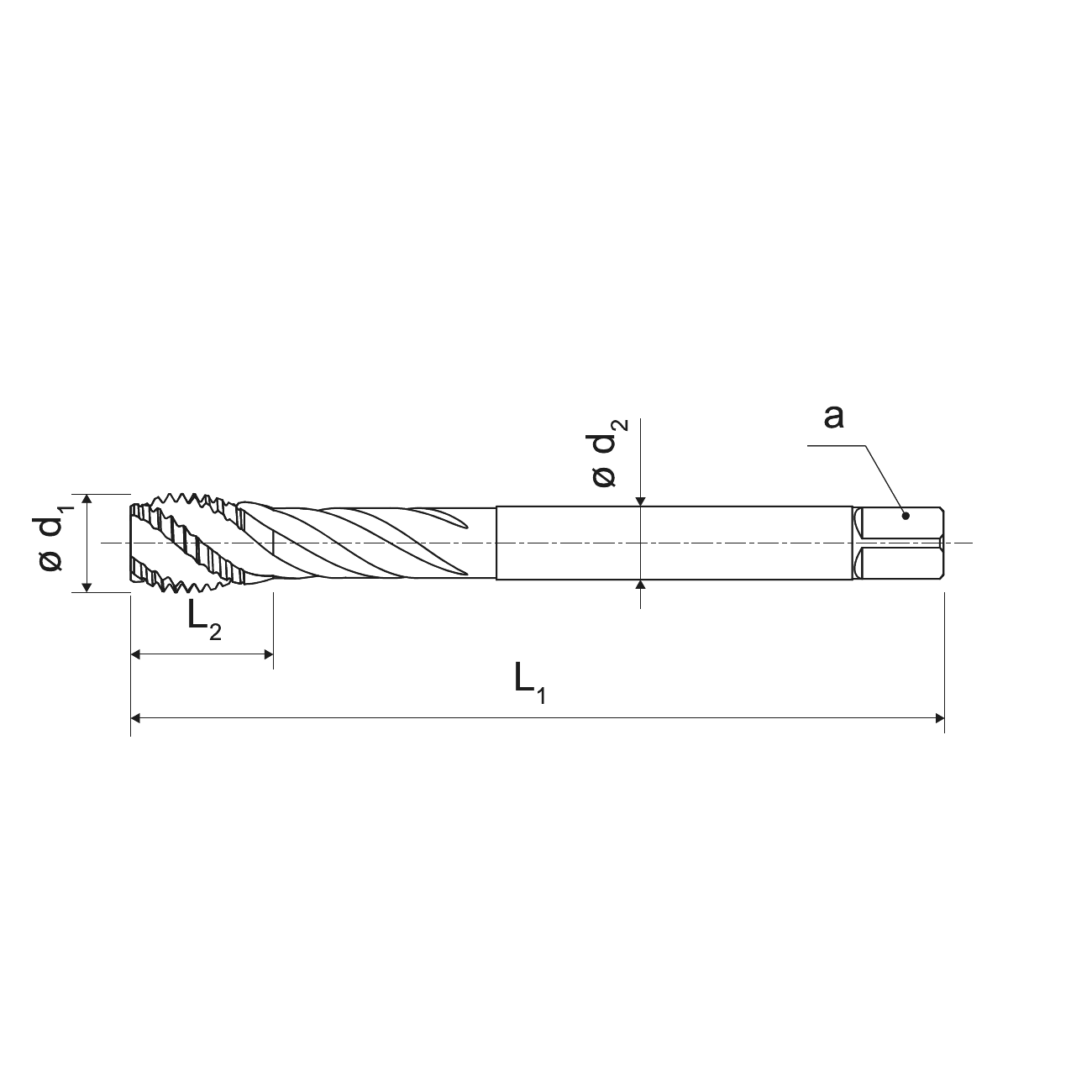 Universal 40° spiral flute tap for blind holes MF nitrided KERFOLG