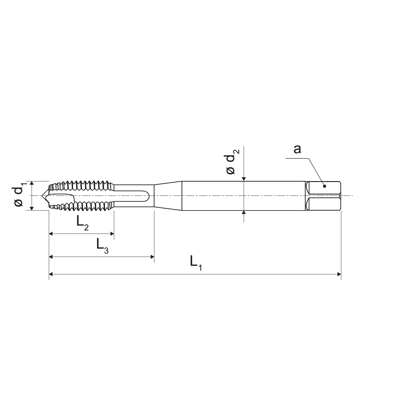 KERFOLG spiral point tap with extra long shank for through holes M