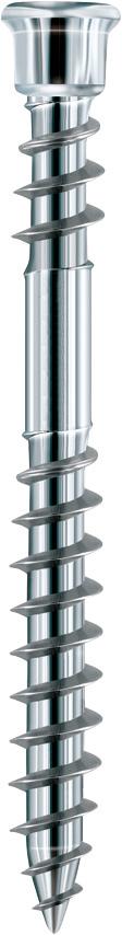 Surub Terrassotec, DIN10088, 4 x 40mm, inox, antrenare Torx Tx 15 - sefira.ro