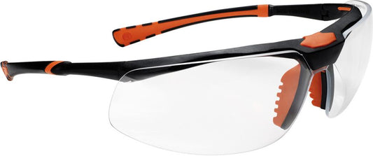 Rana safety glasses, transparent, FORTIS