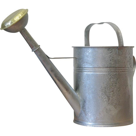 Adapator 10L din galvanic. foaie - sefira.ro