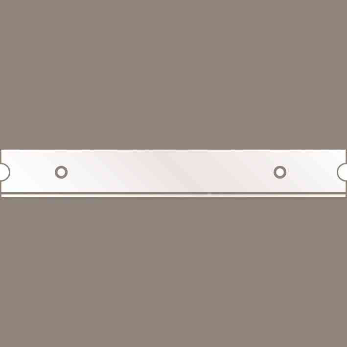 Lama racleta Nr 96, 99.5x14x0.4mm, 10 buc, MARTOR - sefira.ro