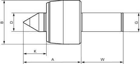 Varf de centrare rotativ, Pro, Ø43mm, coada 20mm, A58mm, ROHM - sefira.ro